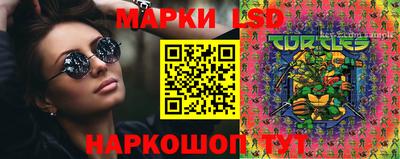 скорость Новозыбков