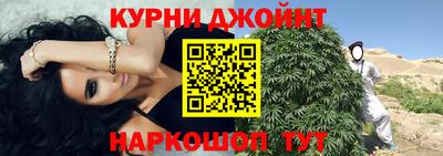 крисы Новокубанск