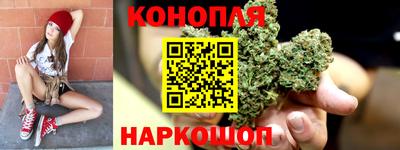 крисы Новокубанск