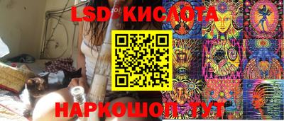 амф Новодвинск