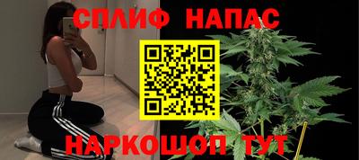 амф Новодвинск