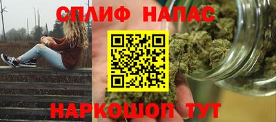 крисы Новокубанск