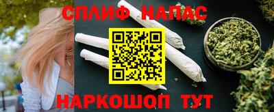 крисы Новокубанск