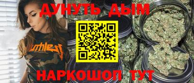 скорость Новозыбков
